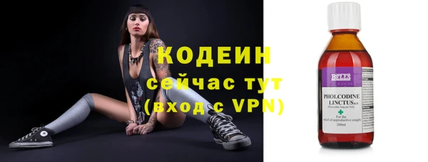 mdpv Богородицк