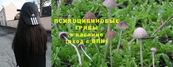 винт Богородск