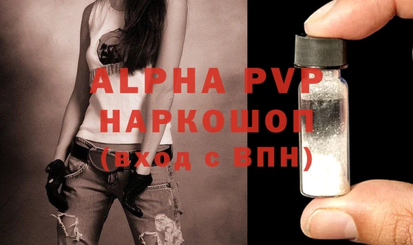 амф Белая Холуница