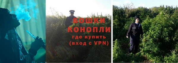 гашик Бородино